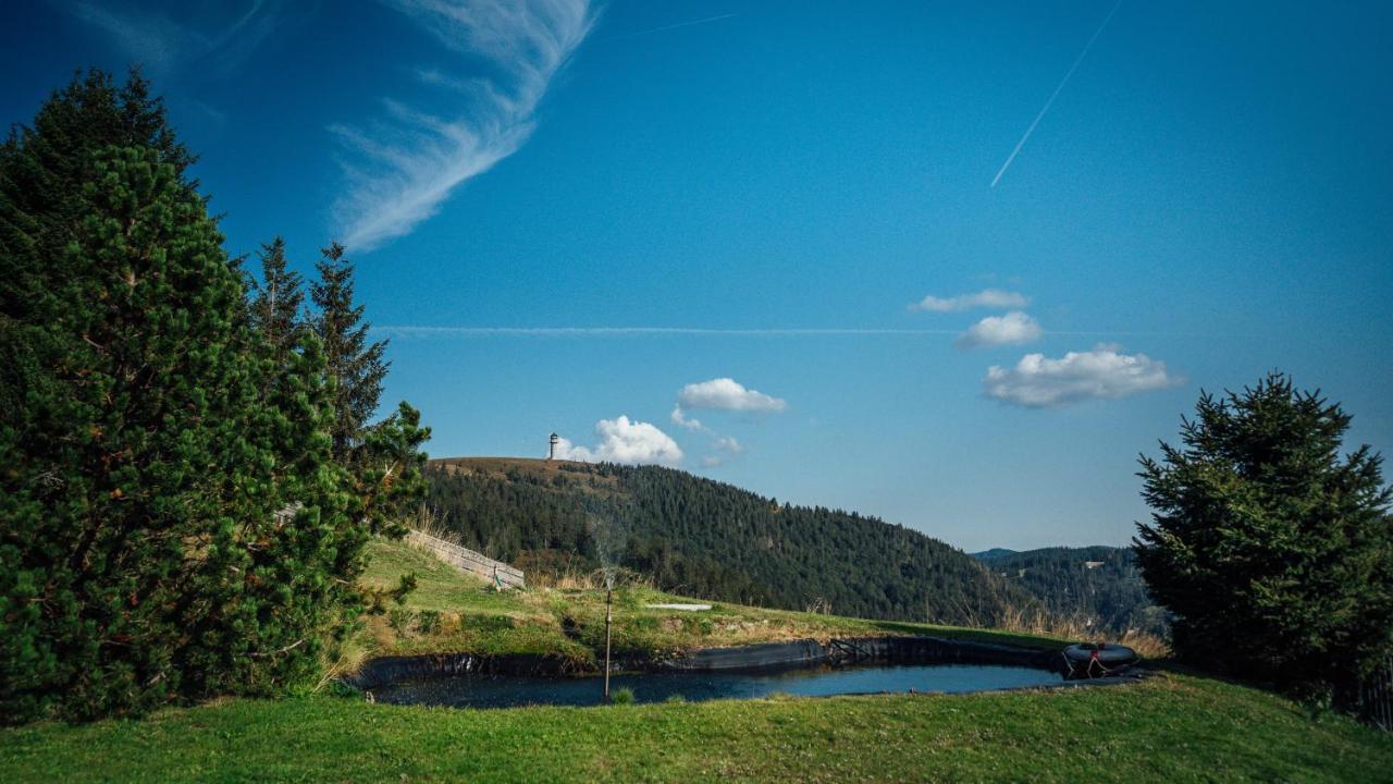Berggasthof Zur Todtnauer Huette フェルトベルク エクステリア 写真