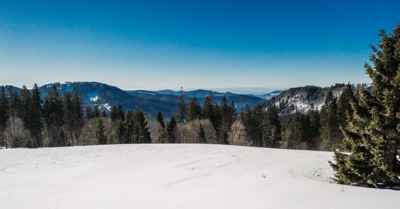 Berggasthof Zur Todtnauer Huette フェルトベルク エクステリア 写真