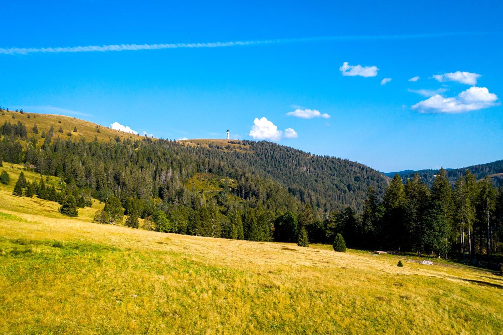 Berggasthof Zur Todtnauer Huette フェルトベルク エクステリア 写真