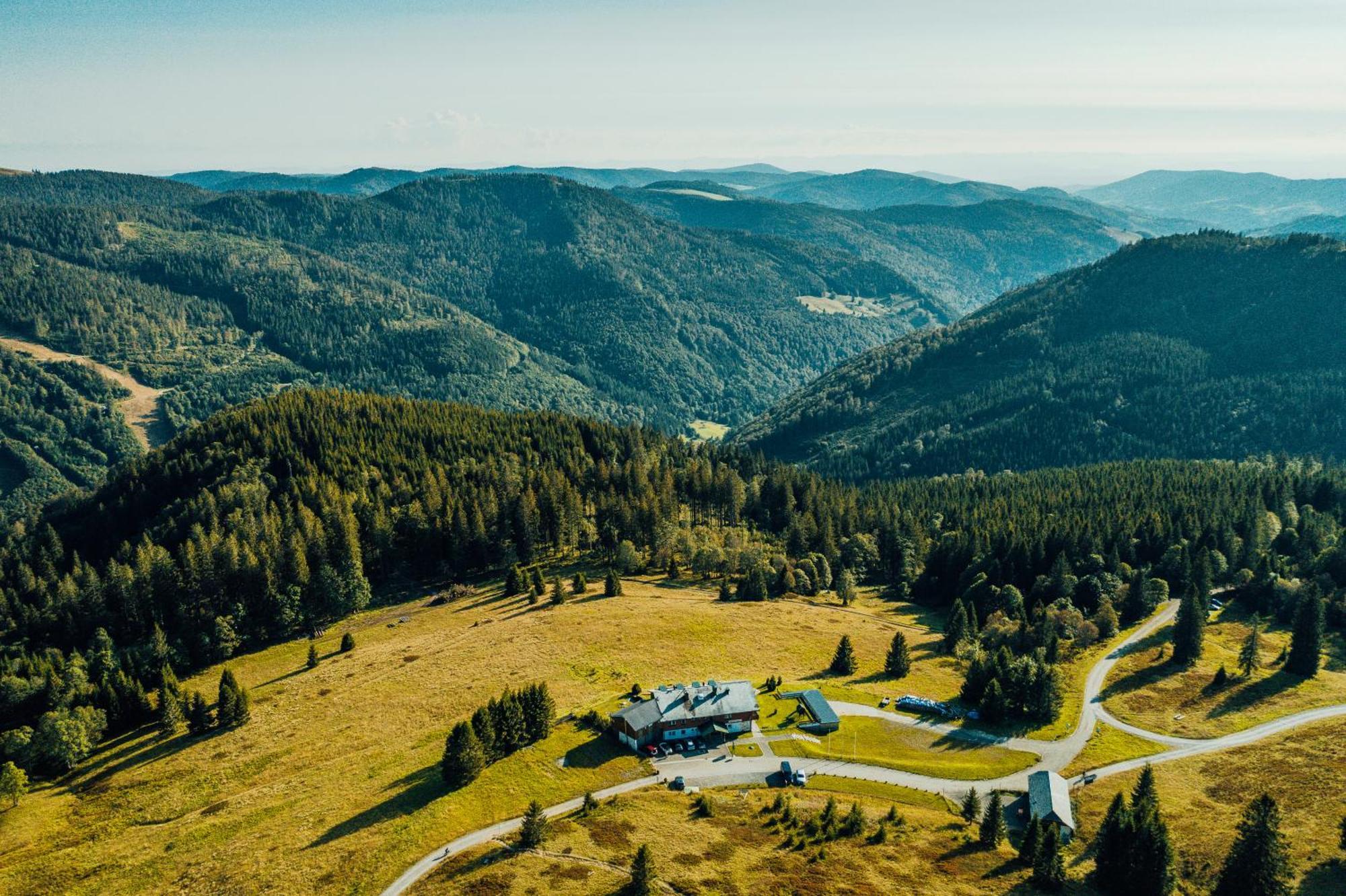 Berggasthof Zur Todtnauer Huette フェルトベルク エクステリア 写真